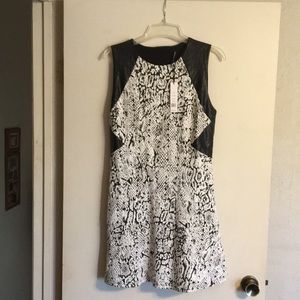 Walter Baker dress